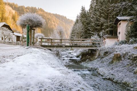 Bachlauf an der Moosbergbrücke