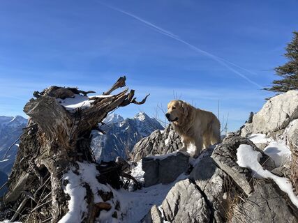 Foto von Karl Hohenwarter entlang der Tour
