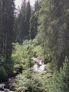 Photo de Pinzger Petra ♀️?? le long du parcours