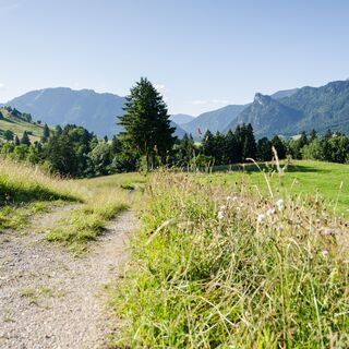 Auf dem Wiesmahdweg Richtung Oberammergau