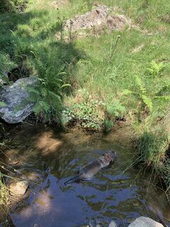 Fotó a Koen De Wit honlapról a túra során