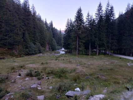 Foto de Tasurinki Mitote a lo largo del recorrido