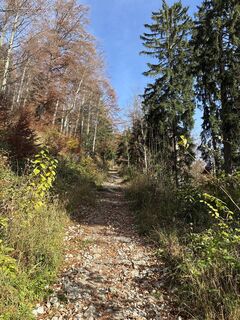 Foto von Heinz Sperl entlang der Tour