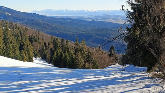 Zdjęcie z Romek Dwornik wzdłuż trasy