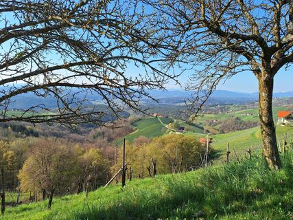 Photo de Johann Kaltenegger le long du parcours