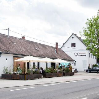 der Trummer