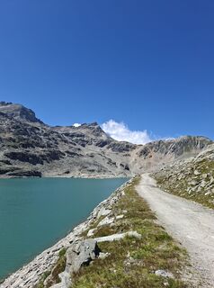 Foto von Mangolein entlang der Tour