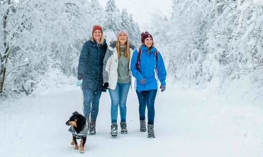 Winterwandern mit Hund in Hahnenklee