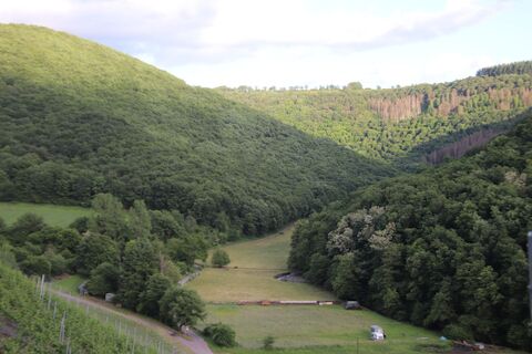 Zdjęcie z Günter Kleutsch wzdłuż trasy