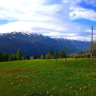 Zurück im Tal