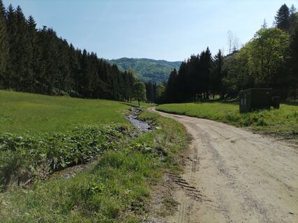 Foto de Groiß Markus a lo largo del recorrido