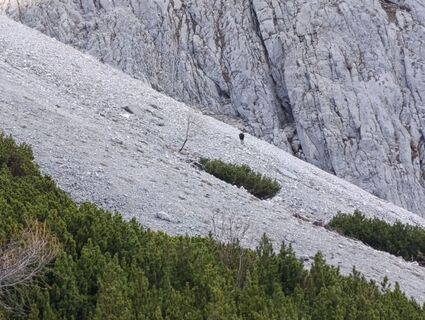 Foto von rotbaeder entlang der Tour