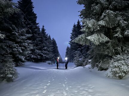 Zdjęcie z Natur_erleben_dg wzdłuż trasy