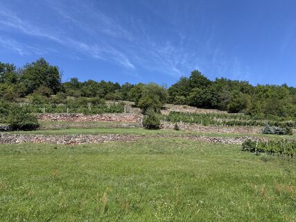 Zdjęcie z Günter Ritzer wzdłuż trasy