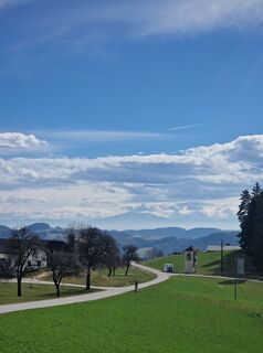 Fotografia z Hubert Martin na trase