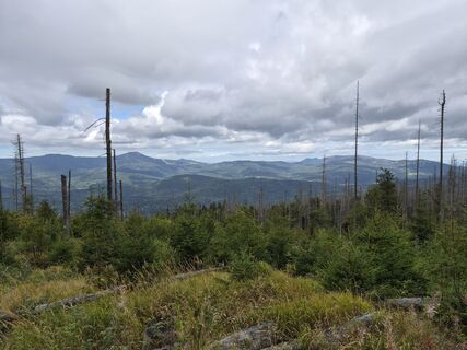 Foto von Wollomator entlang der Tour