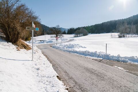 Moosbergrunde beim Moosmoar