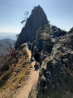 Fotografija s spletne strani Lenzling Kaufmann na poti