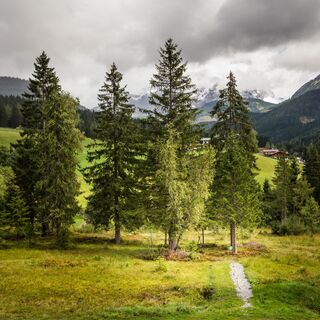 Kleiner Baumkreis beim Neubergerhof