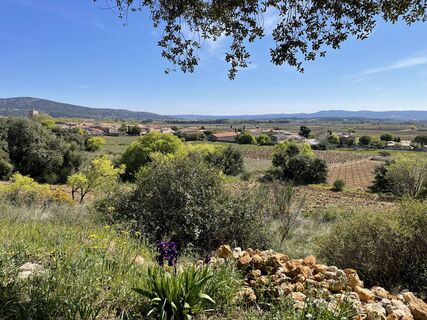 St Saturnin und sein Terroir