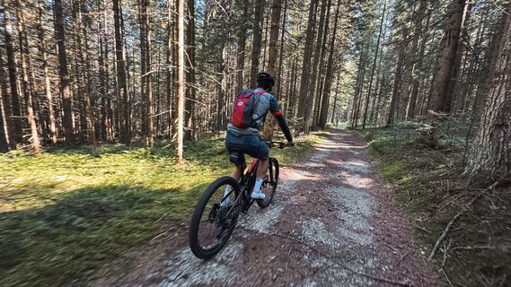 Mit dem Mountainbike durch die Wälder der Weststeiermark