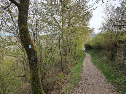 Foto von Attila Németh entlang der Tour