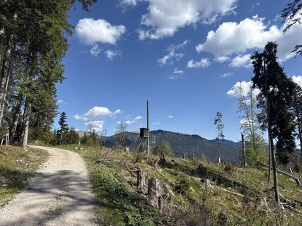 Foto de Similaun a lo largo del recorrido