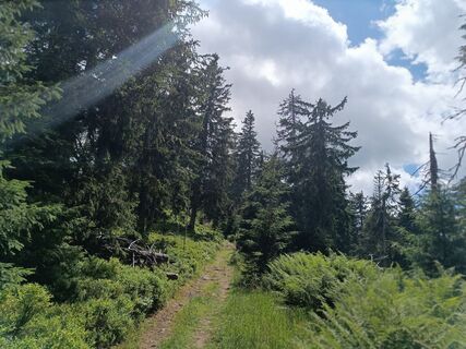 Foto de Žaneta Schelling a lo largo del recorrido