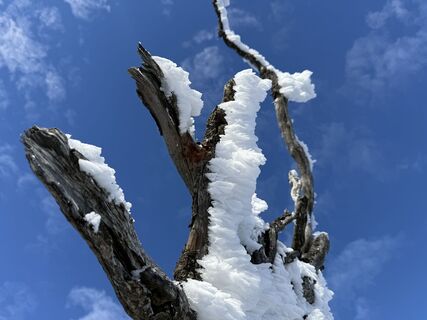 Foto von Natur_erleben_dg entlang der Tour