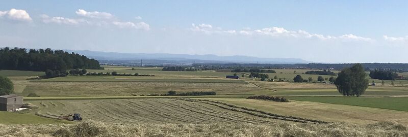 Blick auf Herrenberg und die Alb