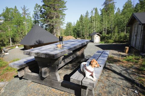 Der Schutzunterstand „Kivilammen laavu“ in Ruka, Kuusamo