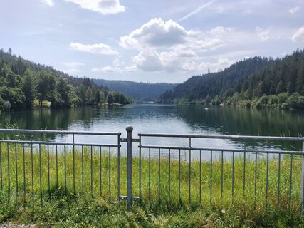 Fotografija s spletne strani Arend Derksen na poti