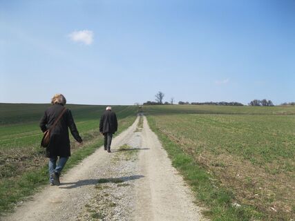 Marzer Kogel und Rohrbacher Teichwiesen
