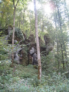 Karstgesteinsaufschlüsse im Wasserburger Tal