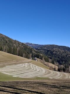 Fotografia z Franz Scharf 4 na trase