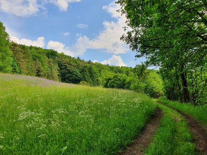 Weg nach Zant