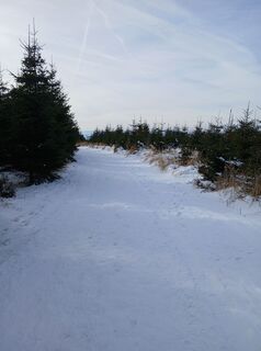 Zdjęcie z Raphael Riedler wzdłuż trasy