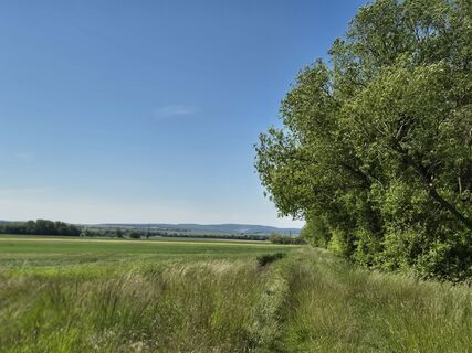 Fotografija s spletne strani josef duermoser na poti
