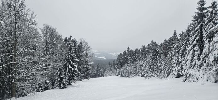 Foto von Mateja Rečnik entlang der Tour