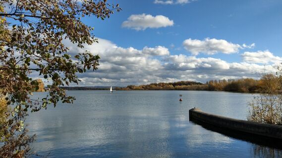 Blick über den Lippesee