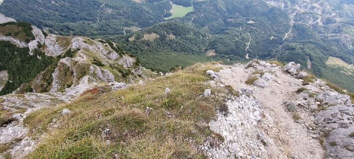 Fotografija s spletne strani Mario Libardi na poti