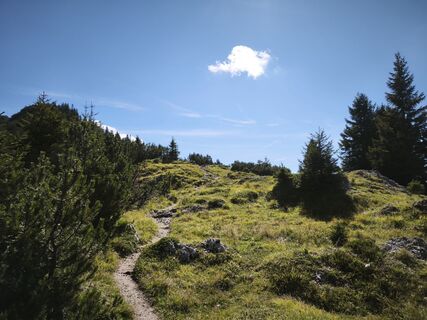 Foto von LX.Sdlmr entlang der Tour