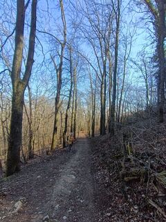Foto de Julika Jármer a lo largo del recorrido