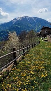 Fotografija s spletne strani Fabrizi Mellano na poti