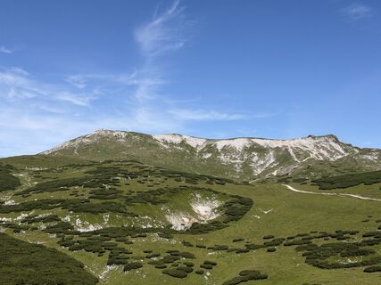 Photo de Marcus Krenn le long du parcours