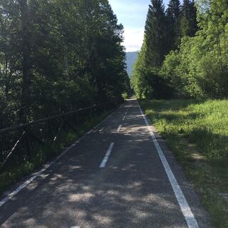 Radweg an der Save Höhe Ratece