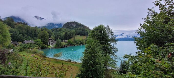Fotografija s spletne strani Nicky na poti