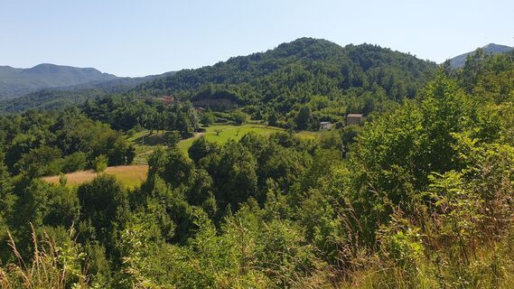 Fotografija s spletne strani Giorgio Molinelli na poti