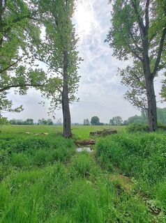 Foto von Anke Rohland entlang der Tour