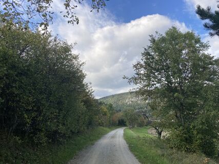 Photo de Reinhard S le long du parcours